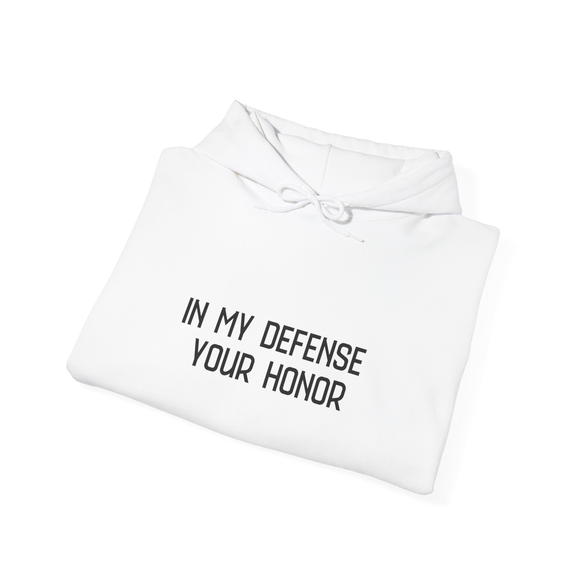 Hoodie — "In My Defense Your Honor I Was Born to Fuckin' Send It" Graphic Hoodie