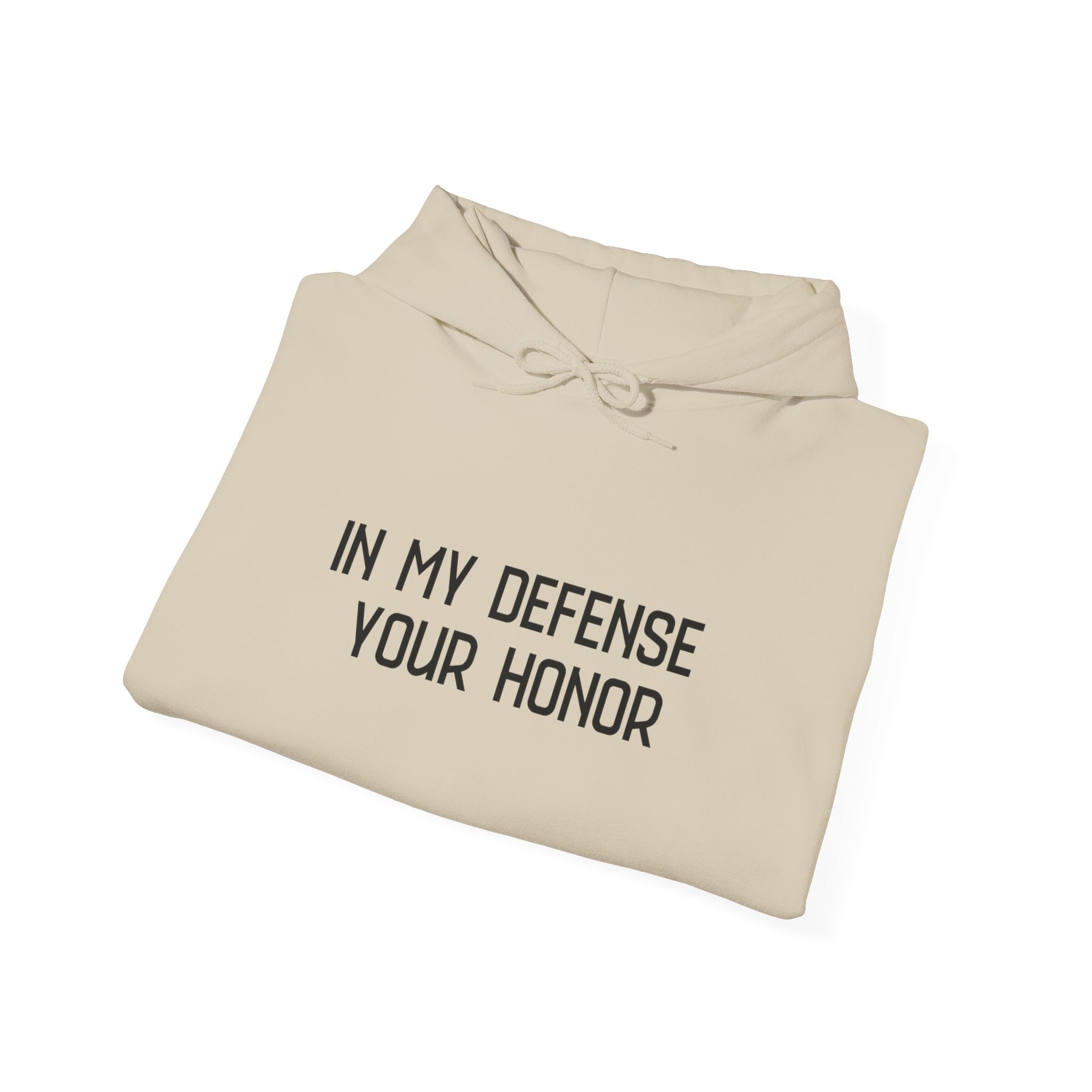 Hoodie — "In My Defense Your Honor" Truck Jump Graphic Pullover
