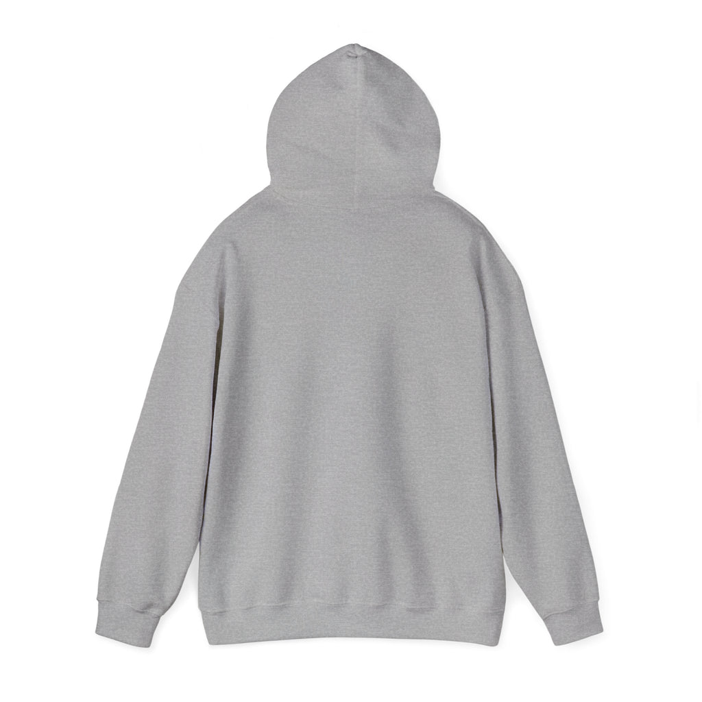 Funny "Petal Soft, Boundaries Firm" Hoodie — Sassy Comfort Sweatshirt