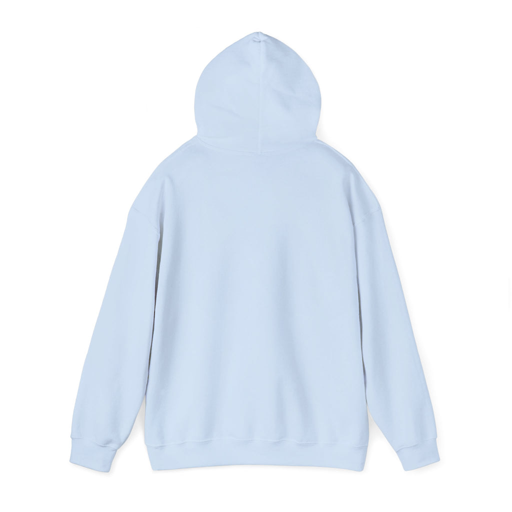 Funny "Petal Soft, Boundaries Firm" Hoodie — Sassy Comfort Sweatshirt
