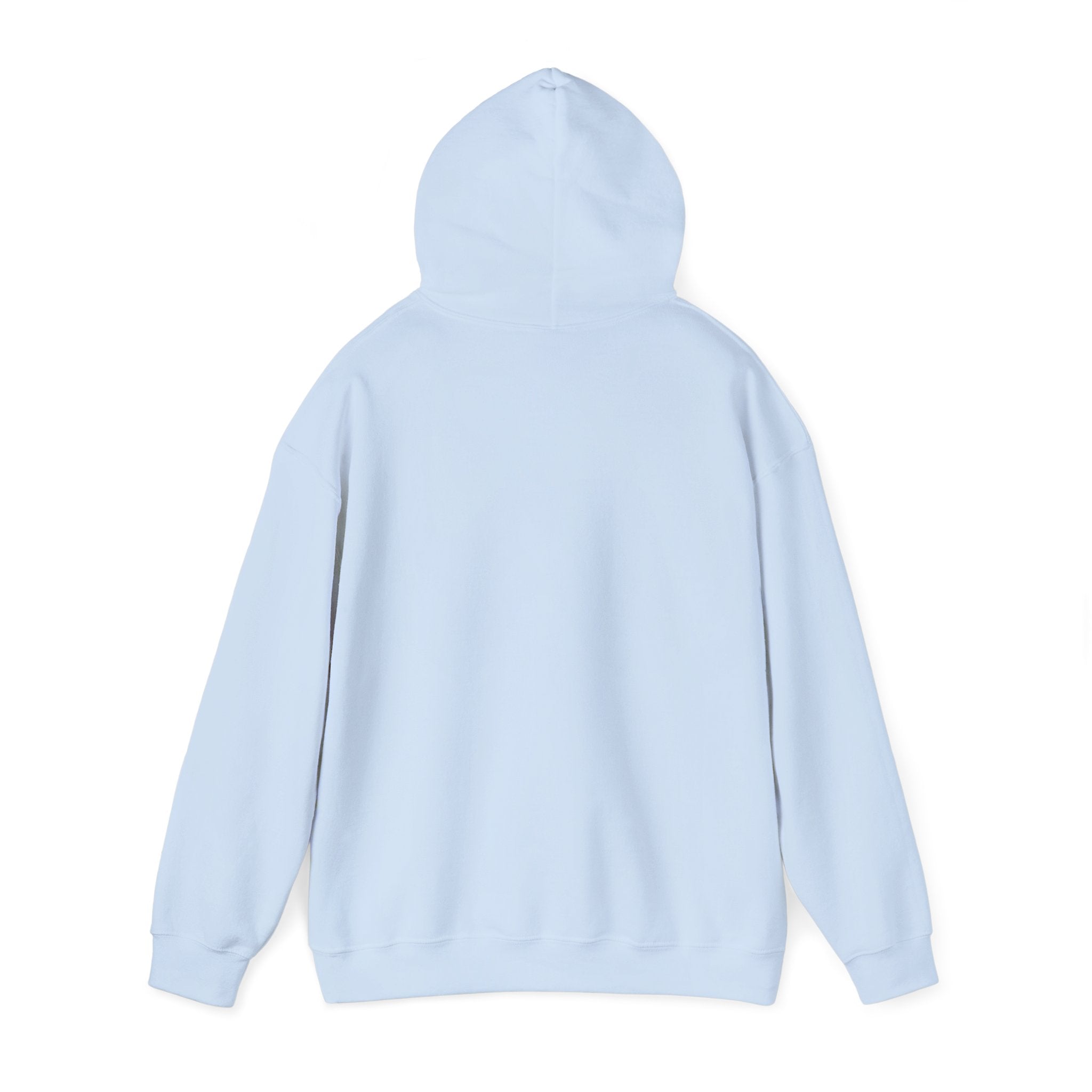Funny "Petal Soft, Boundaries Firm" Hoodie — Sassy Comfort Sweatshirt