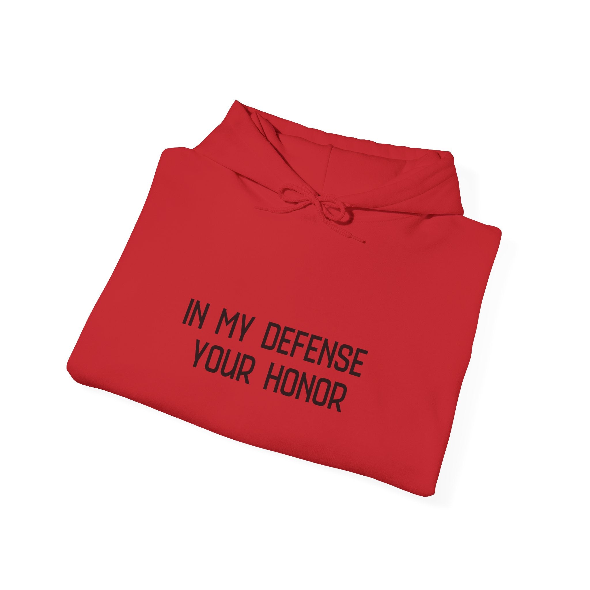 Hoodie — "In My Defense Your Honor I Was Born to Fuckin' Send It" Graphic Hoodie