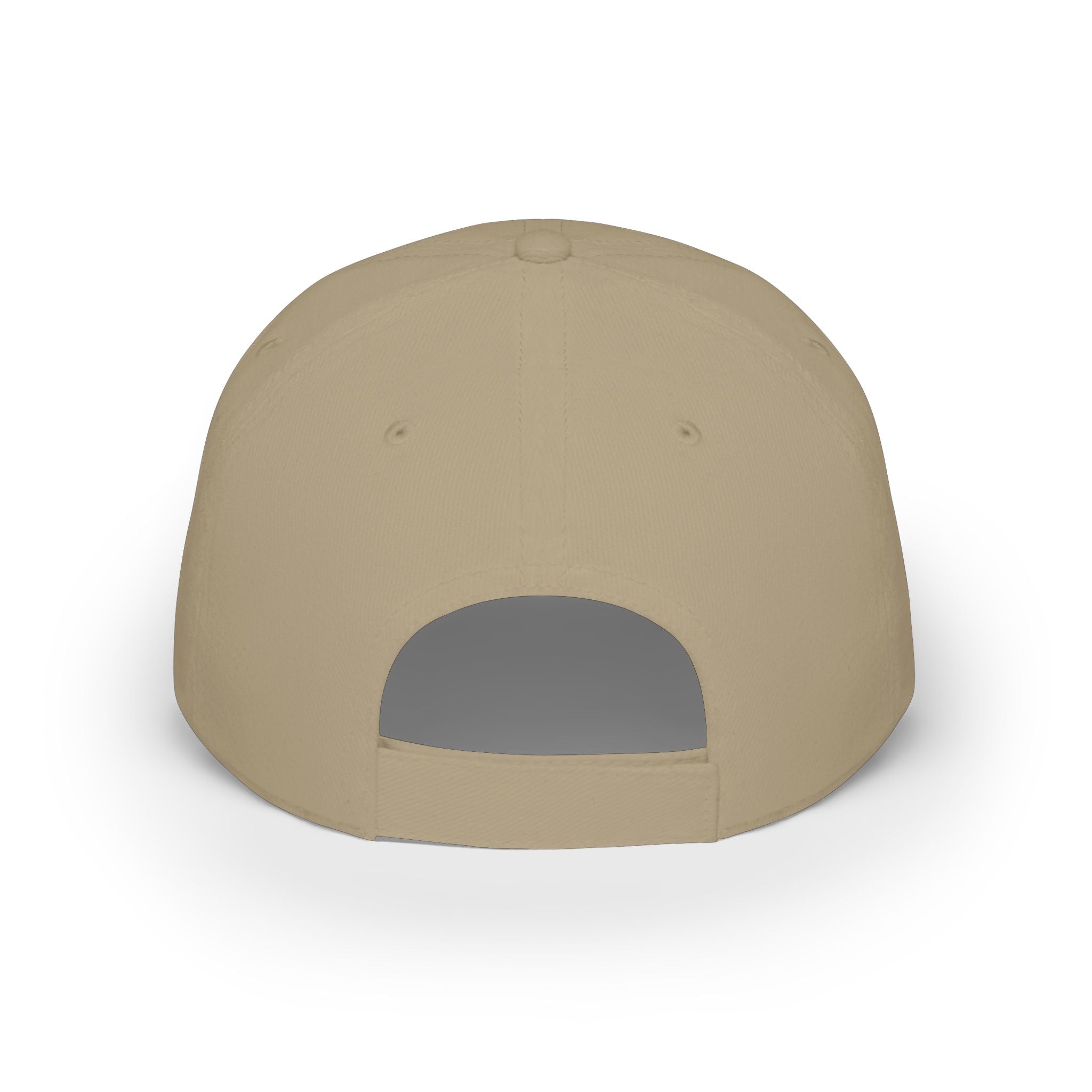 I may have a foul mouth Low Profile Embroidered Baseball Cap — Women's Attitude Hat
