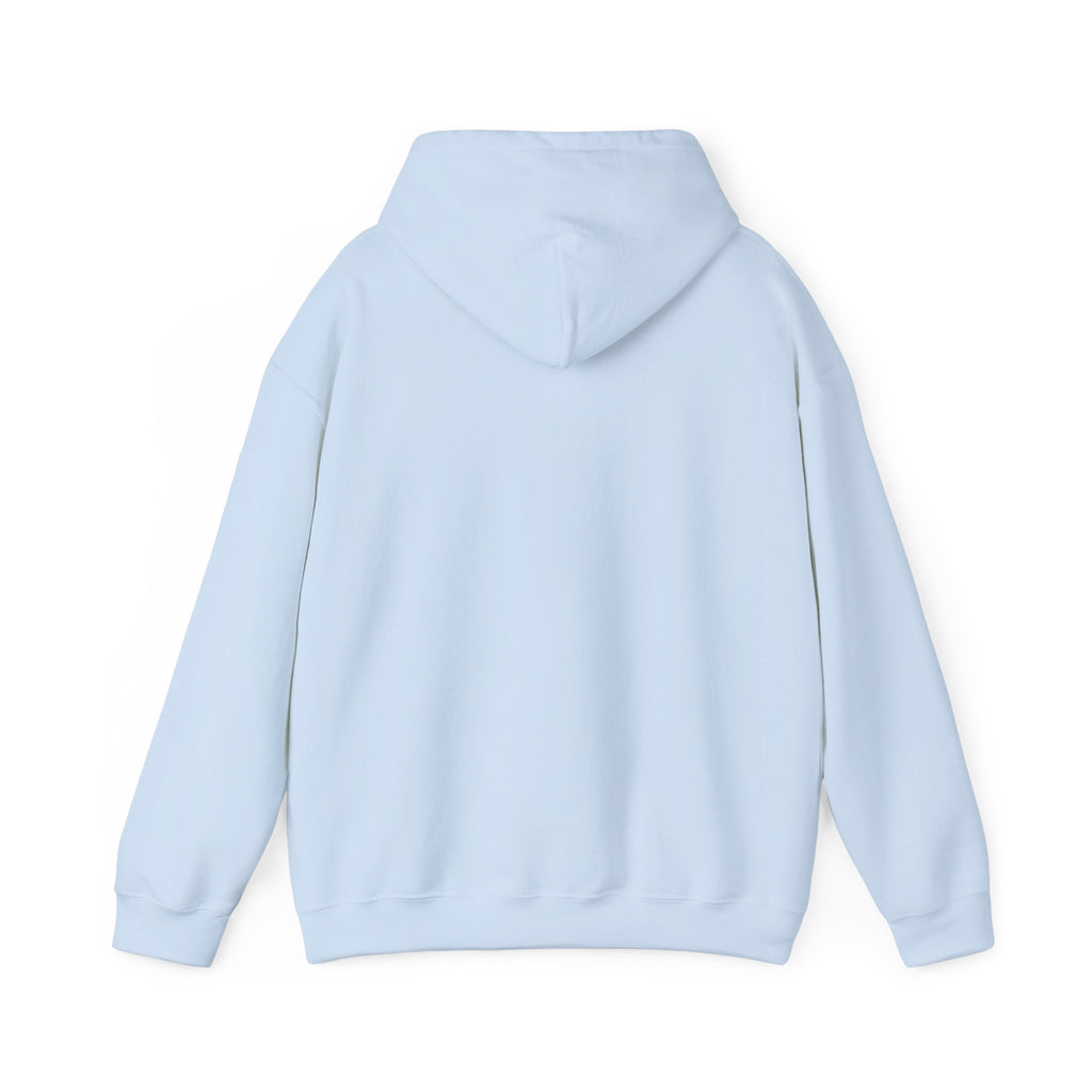 Funny "Petal Soft, Boundaries Firm" Hoodie — Sassy Comfort Sweatshirt