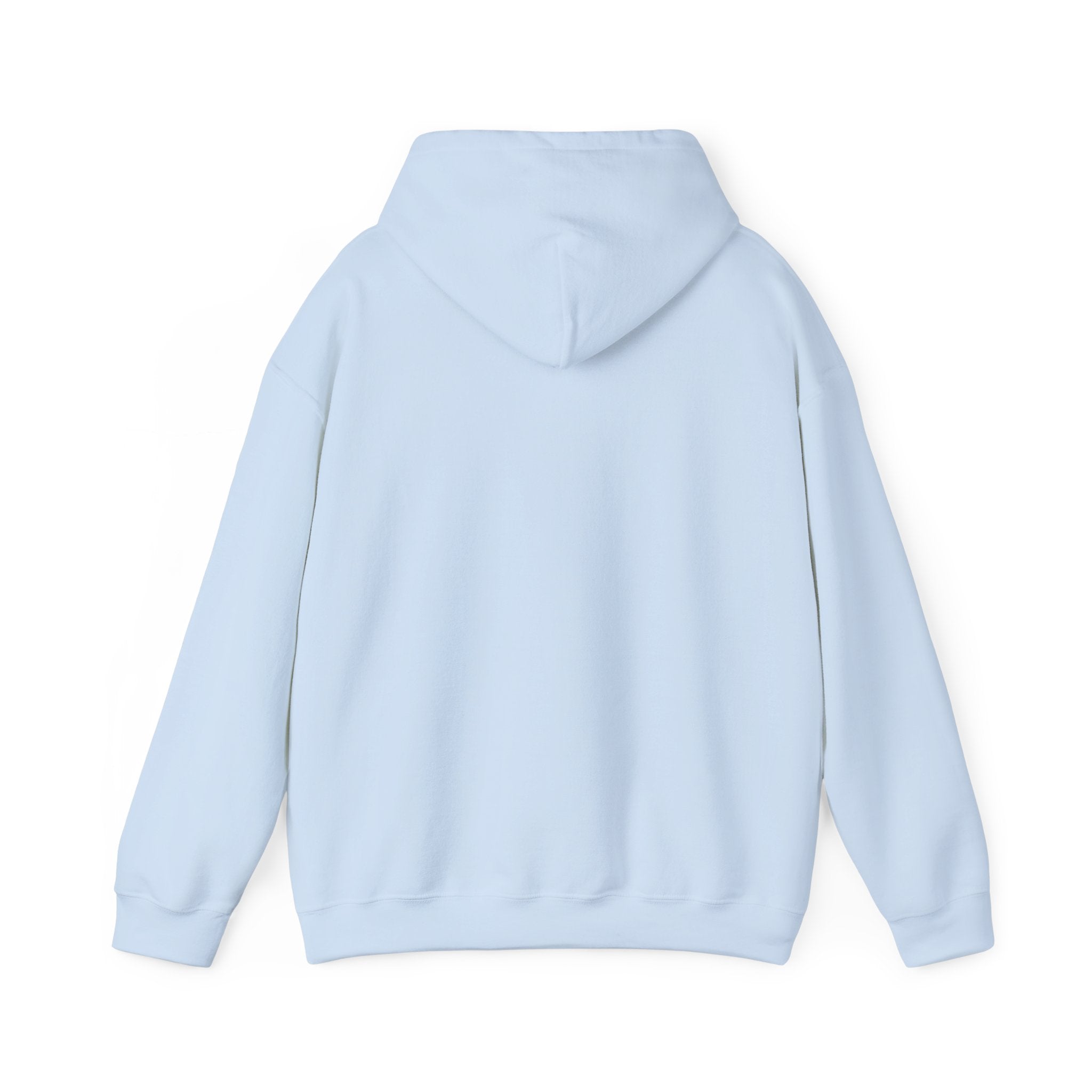 Funny "Petal Soft, Boundaries Firm" Hoodie — Sassy Comfort Sweatshirt