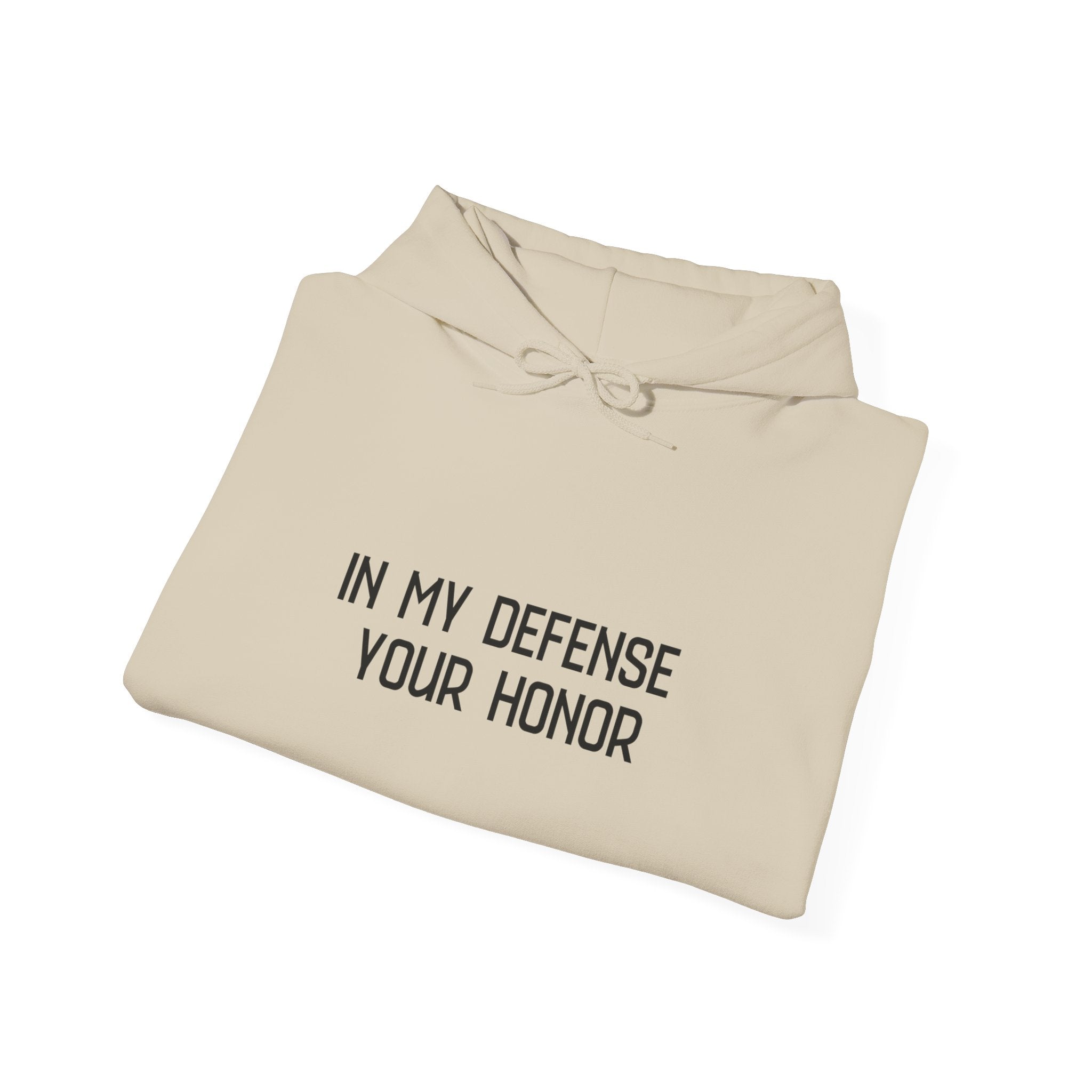 Hoodie — "In My Defense Your Honor I Was Born to Fuckin' Send It" Graphic Hoodie