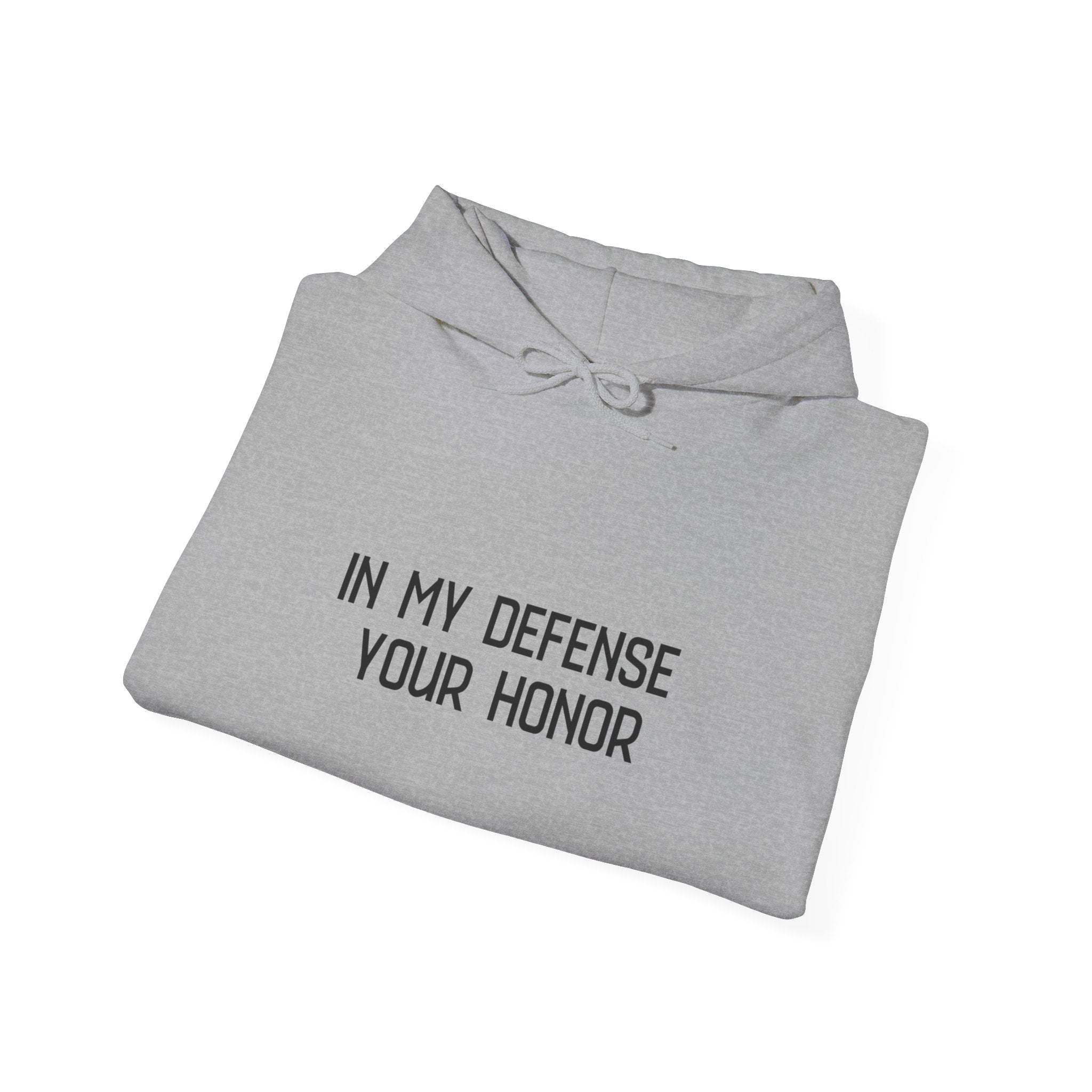 Hoodie — "In My Defense Your Honor I Was Born to Fuckin' Send It" Graphic Hoodie