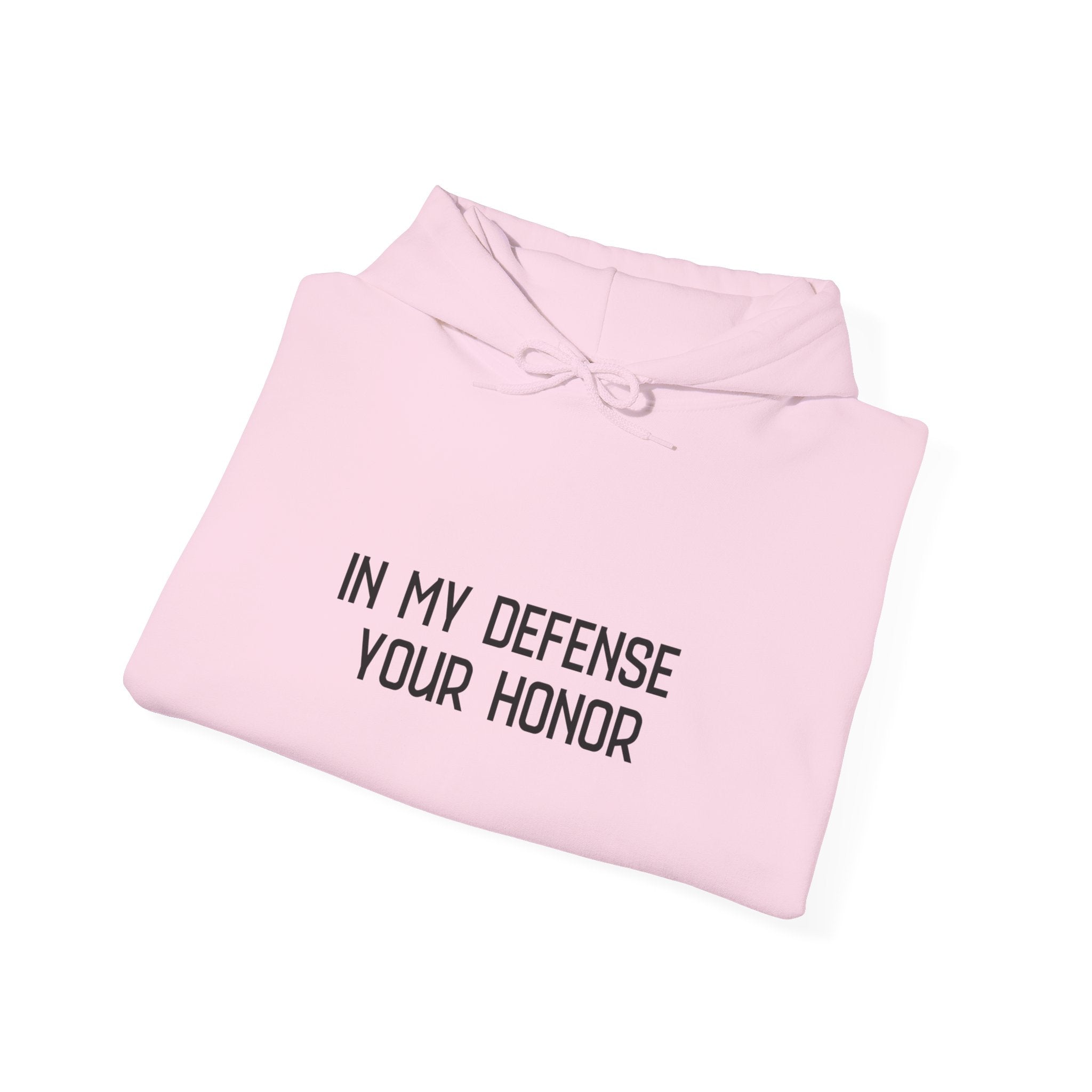 Hoodie — "In My Defense Your Honor I Was Born to Fuckin' Send It" Graphic Hoodie